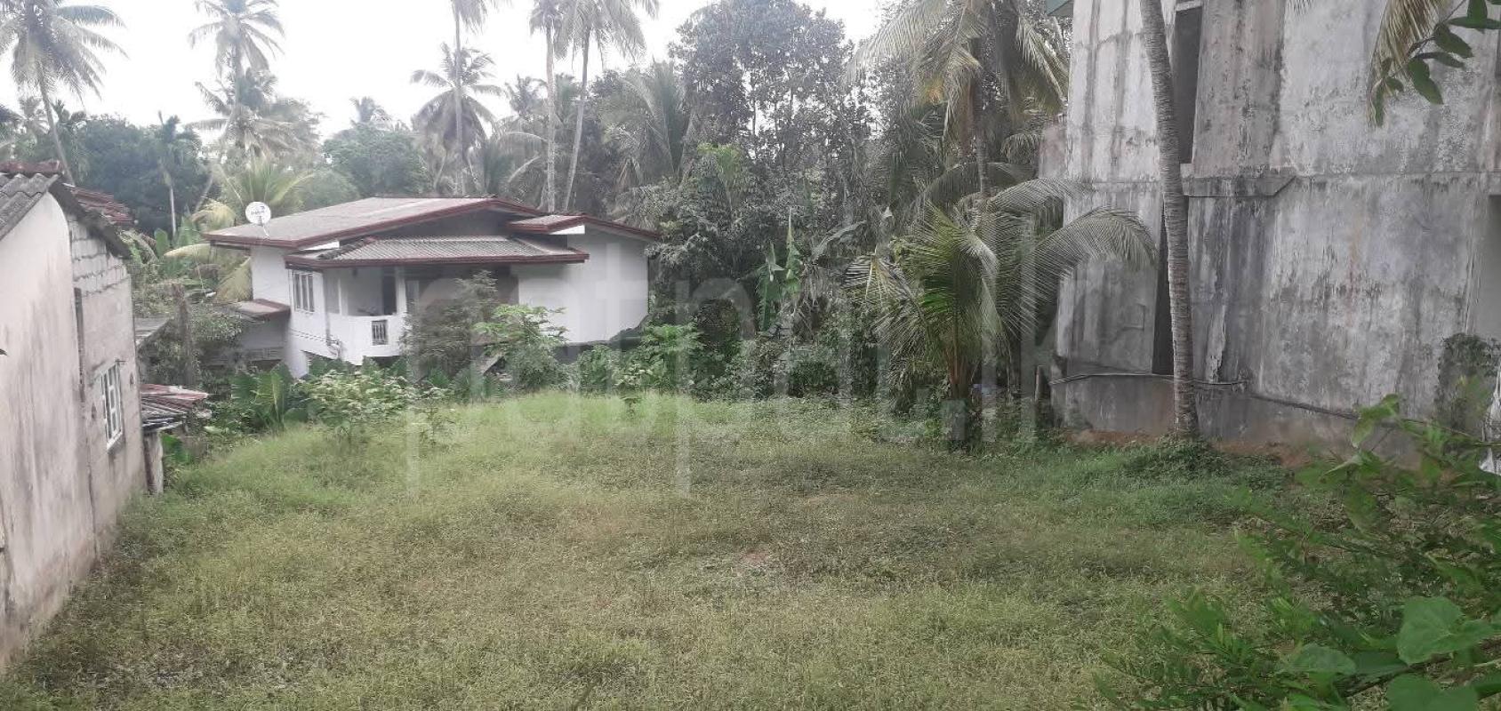 Residential Land for Sale in Pannipitiya
