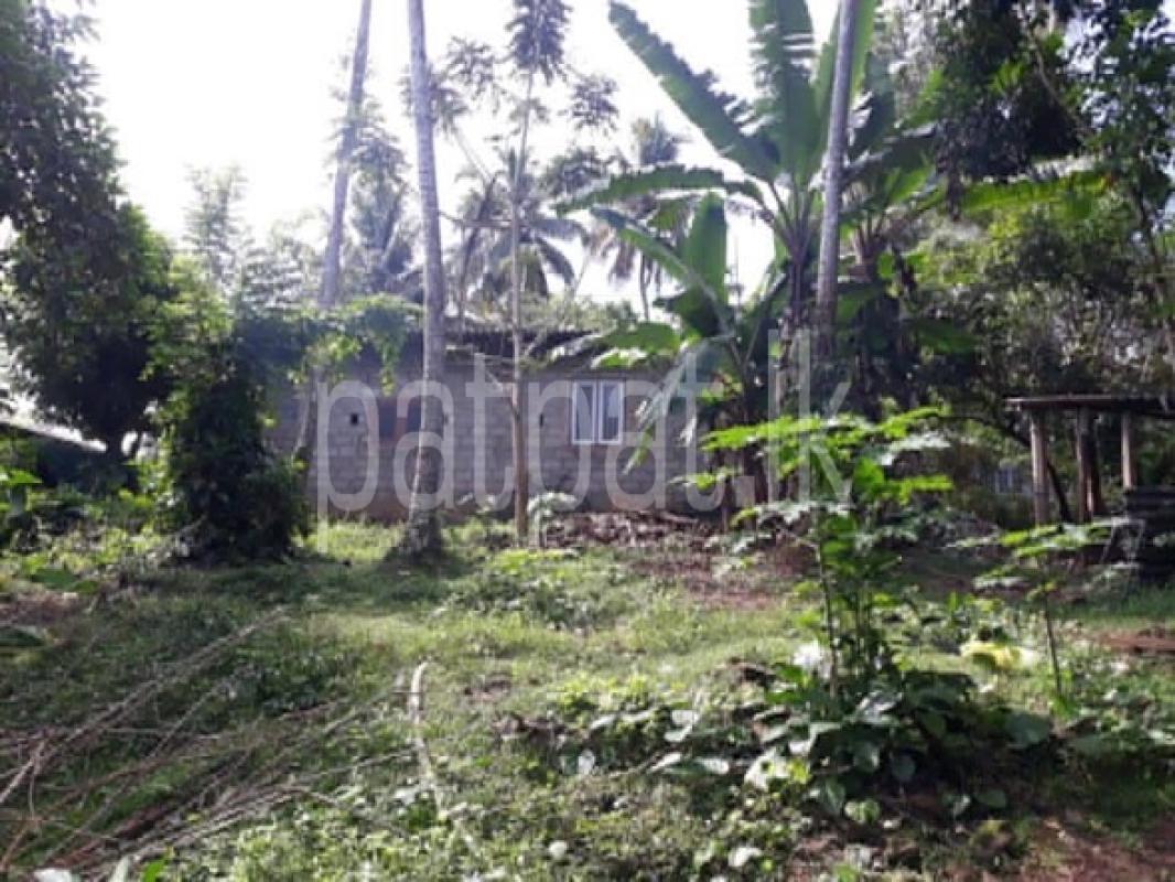 premium-listing-image