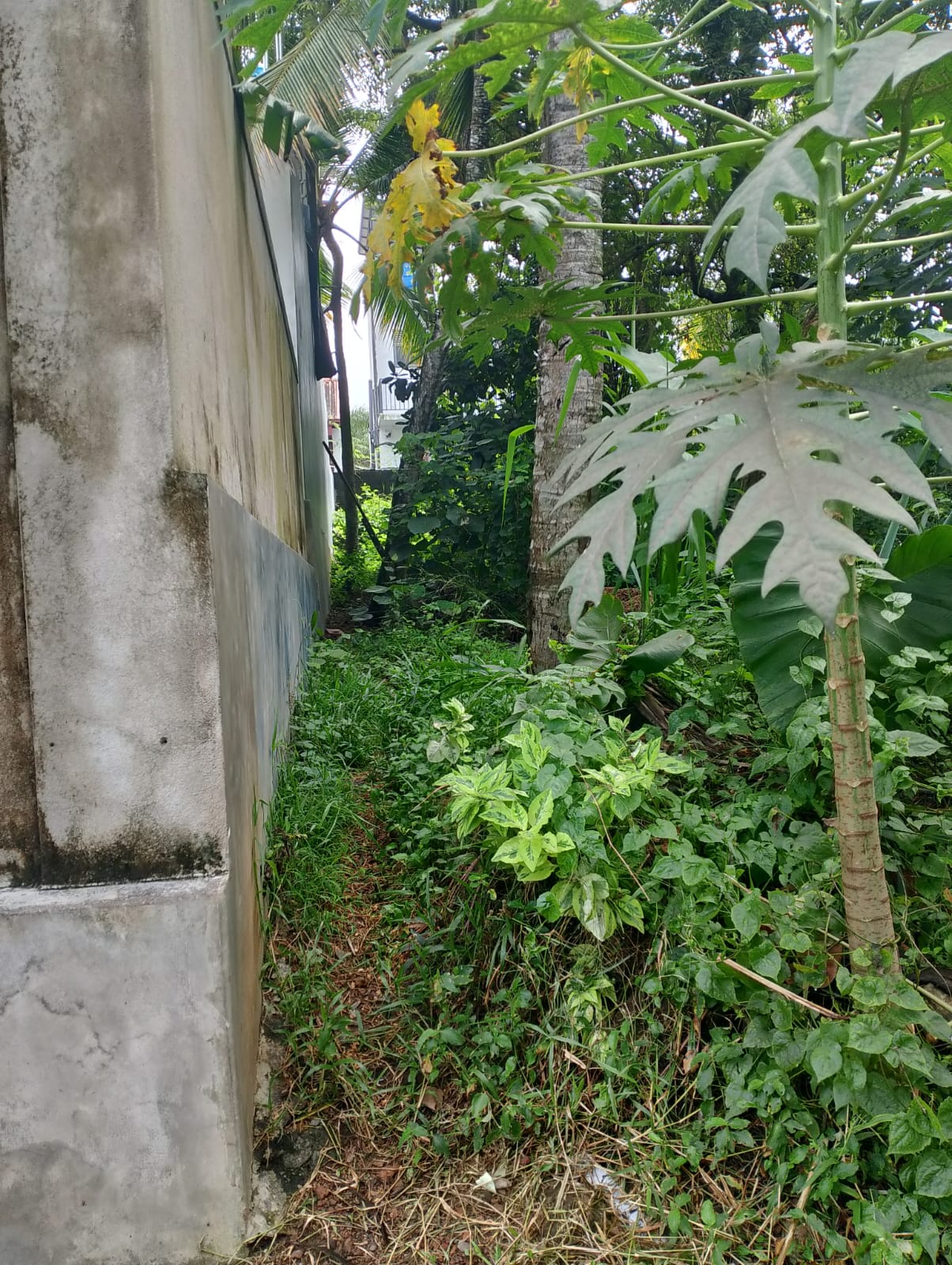Residential Land for Sale in Panadura