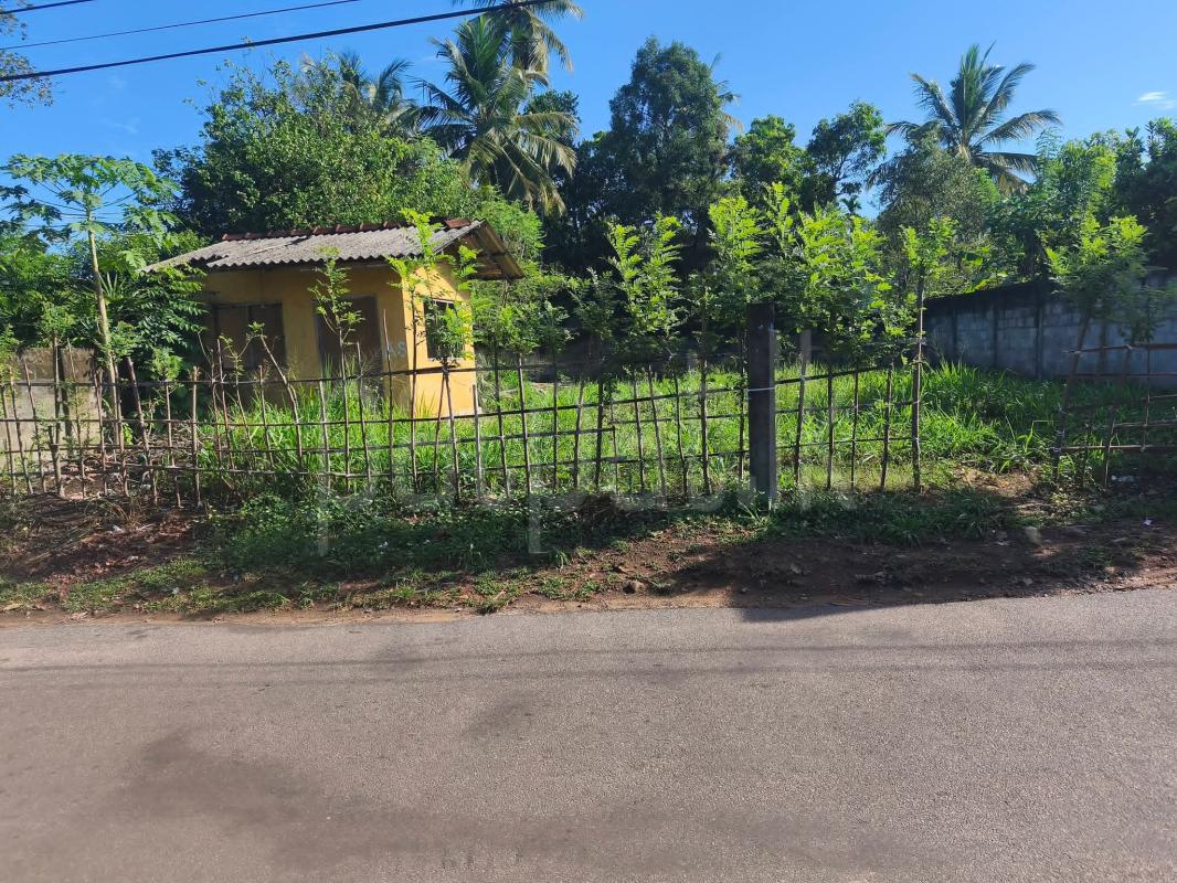 Agricultural Land for Sale in Kadawatha