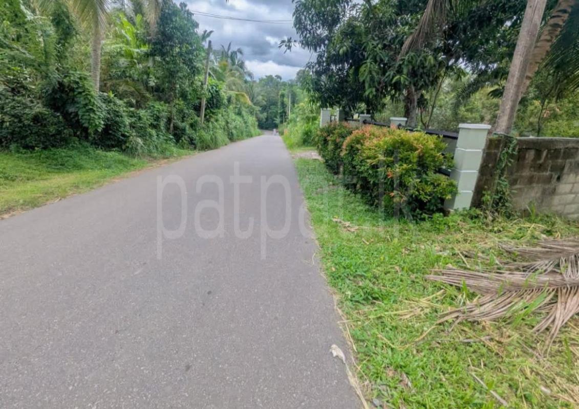 Commercial Land for Sale in Veyangoda