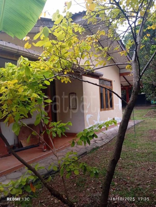 House for Rent in Rajagiriya ads-image-1