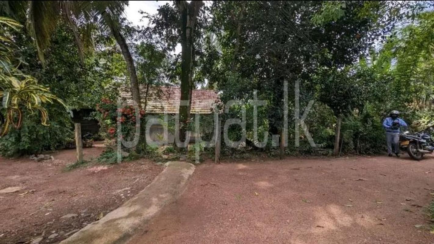 premium-listing-image