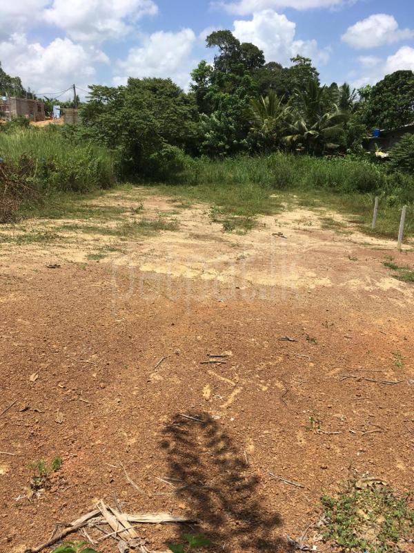 premium-listing-image