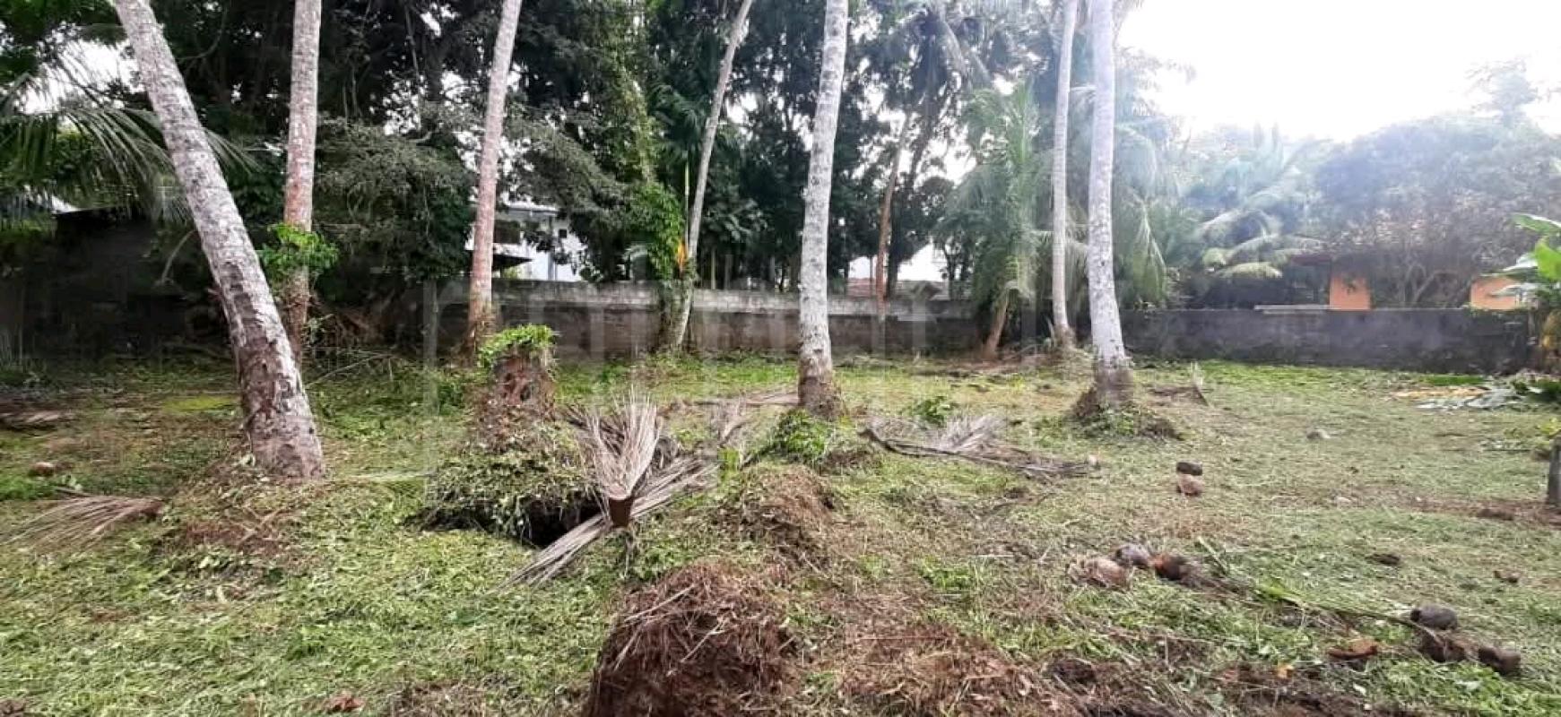 Residential Land for Sale in Pamunugama ads-image-1