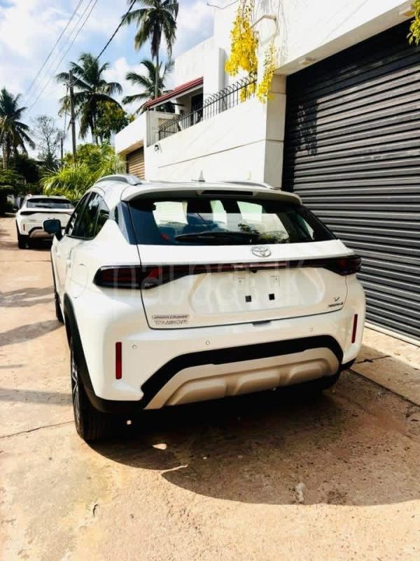 Advertisement image 4