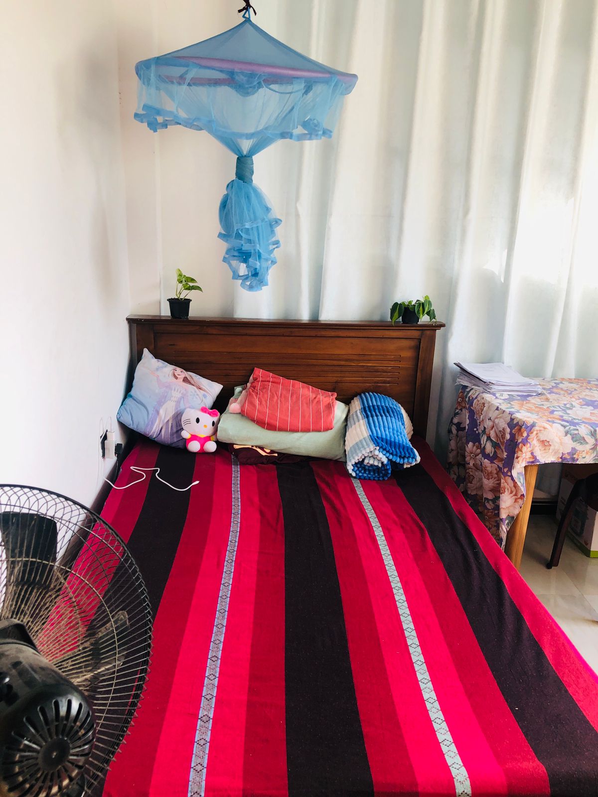 House for Sale in Lewella