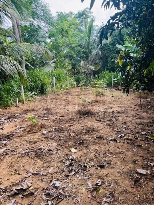 Residential Land for Sale in Tangalla ads-image-1