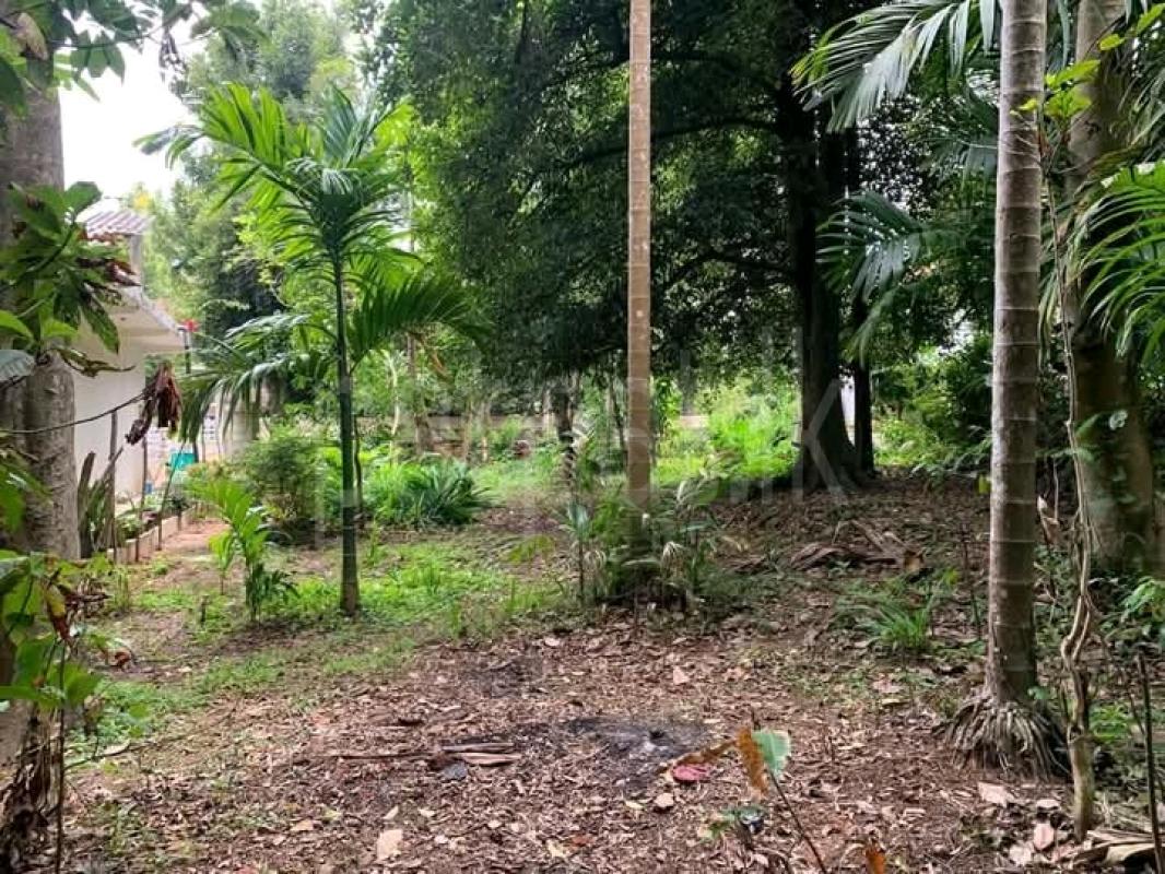 Commercial Land for Sale in Katugastota