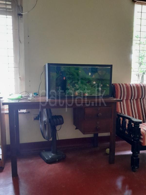 Fish tank