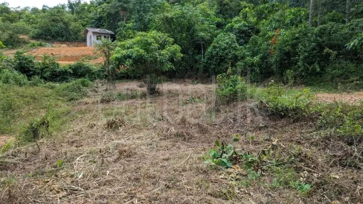 Residential Land for Sale in Veyangoda ads-image-1