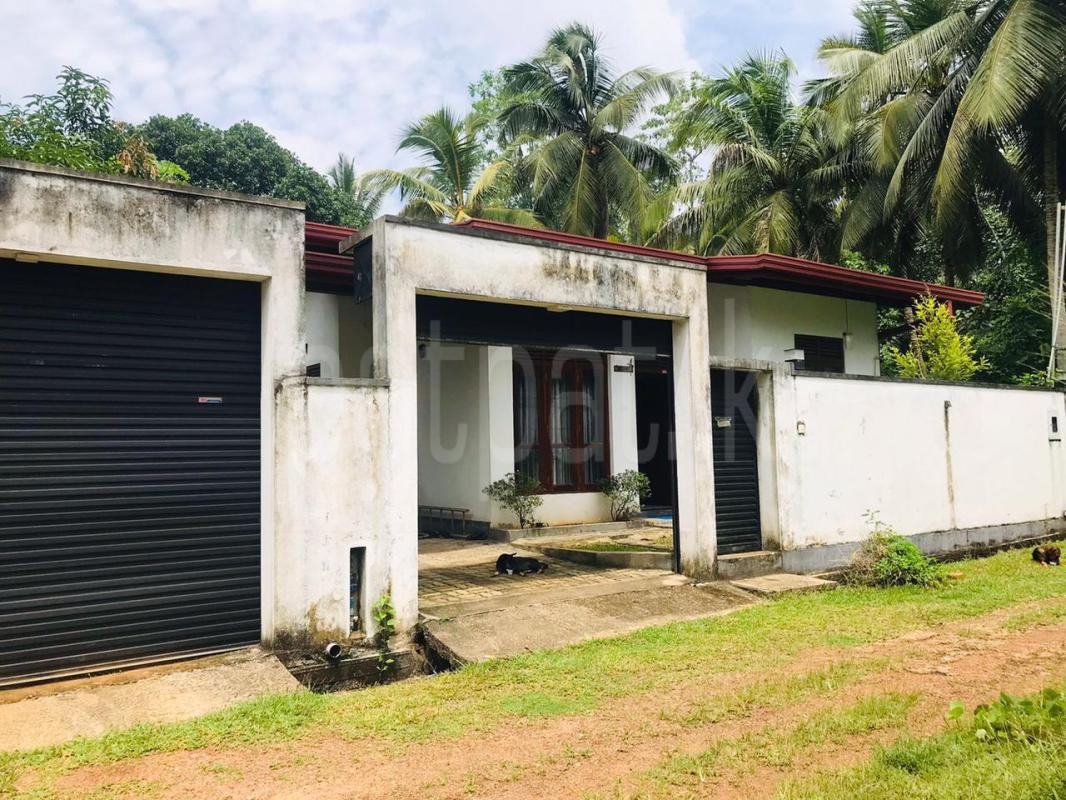 Advertisement image 5