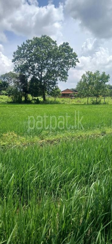 Agricultural Land for Sale in Kataragama