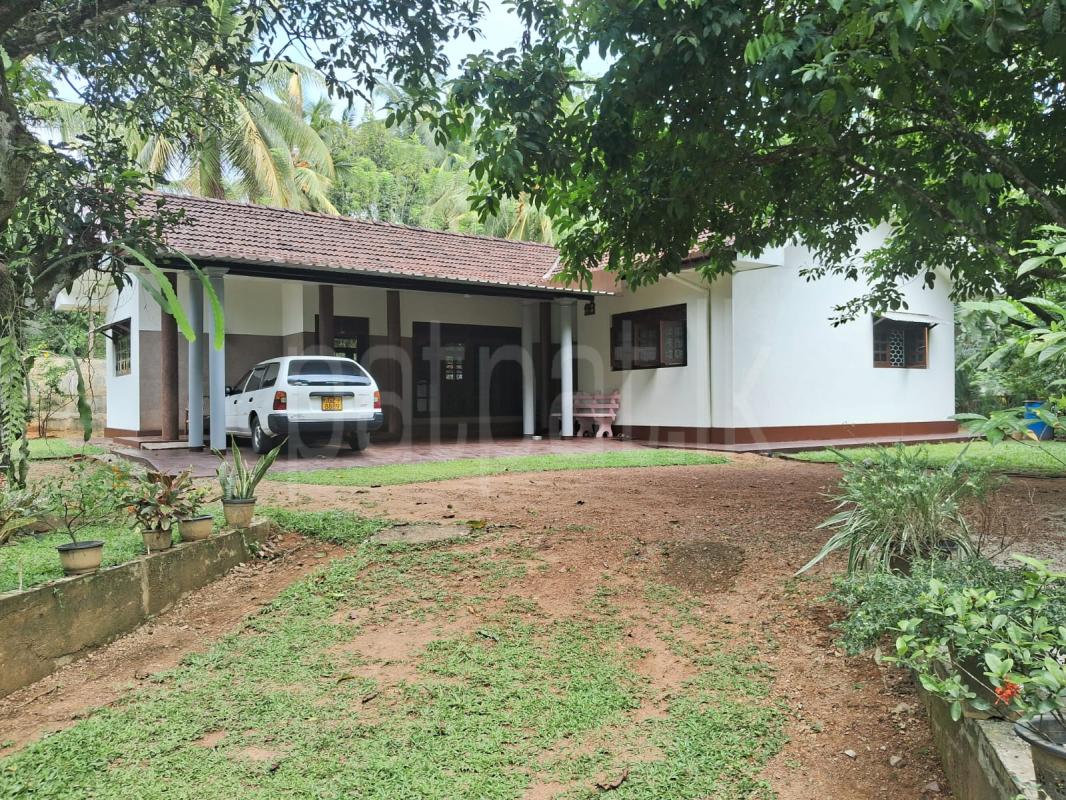House for Sale in Kuruwita ads-image-1