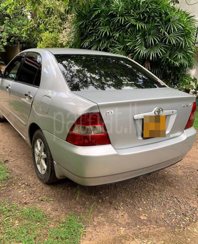 Advertisement image 2