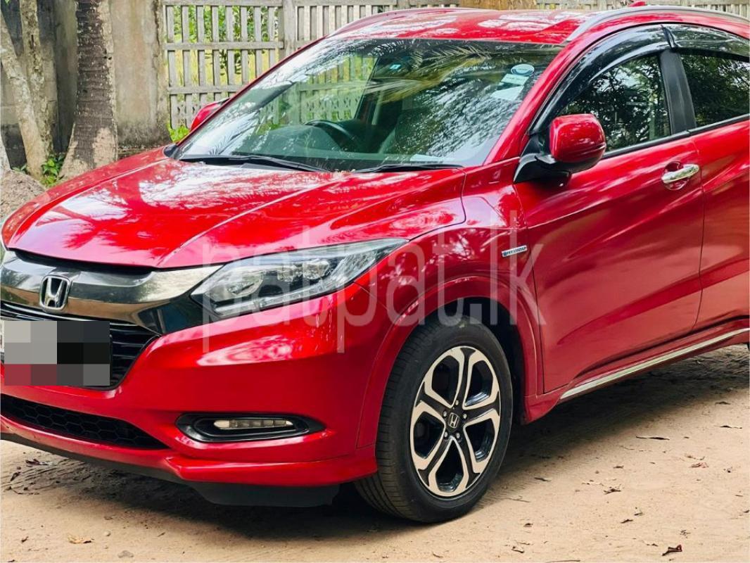 Advertisement image 1