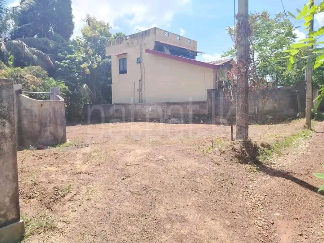 Commercial Land for Sale in Kandana