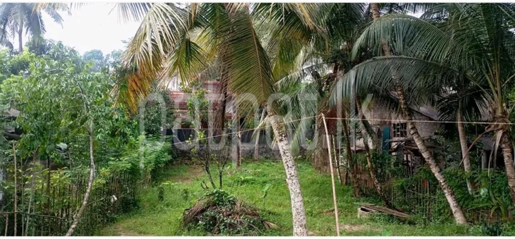 Residential Land for Sale in Talagampola