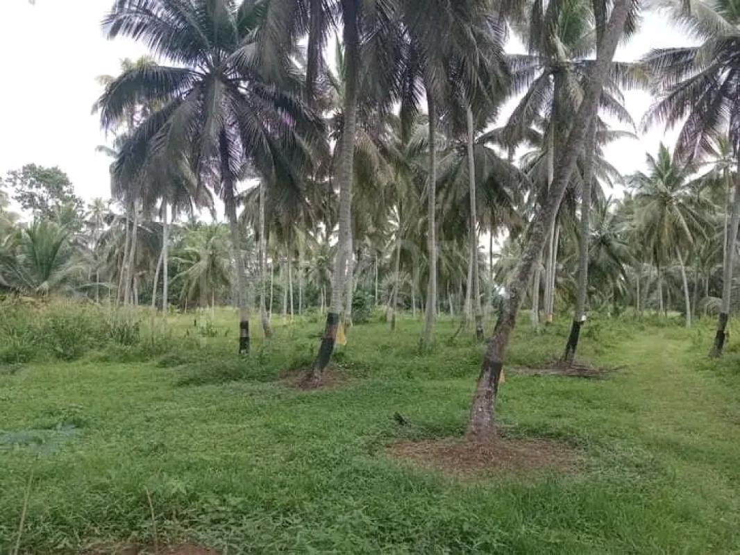 Residential Land for Sale in Wariyapola ads-image-1