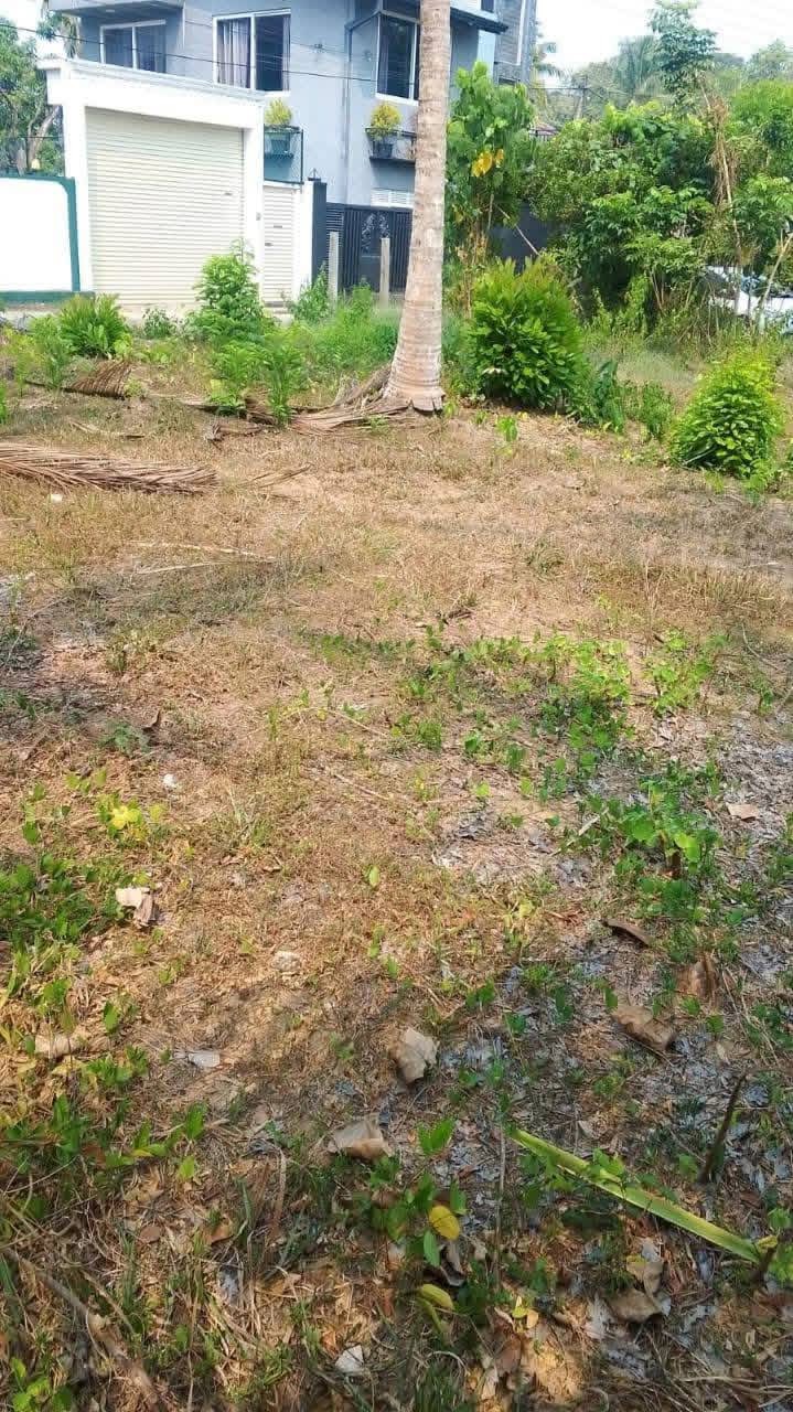 Commercial Land for Sale in Kadawatha