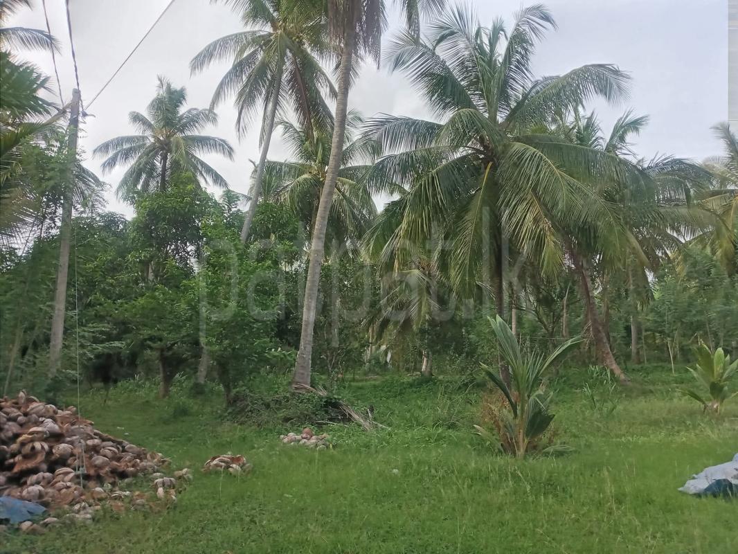 Commercial Land for Sale in Hiripitiya
