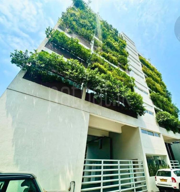 premium-listing-image