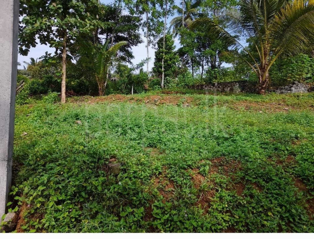 Residential Land for Sale in Horana