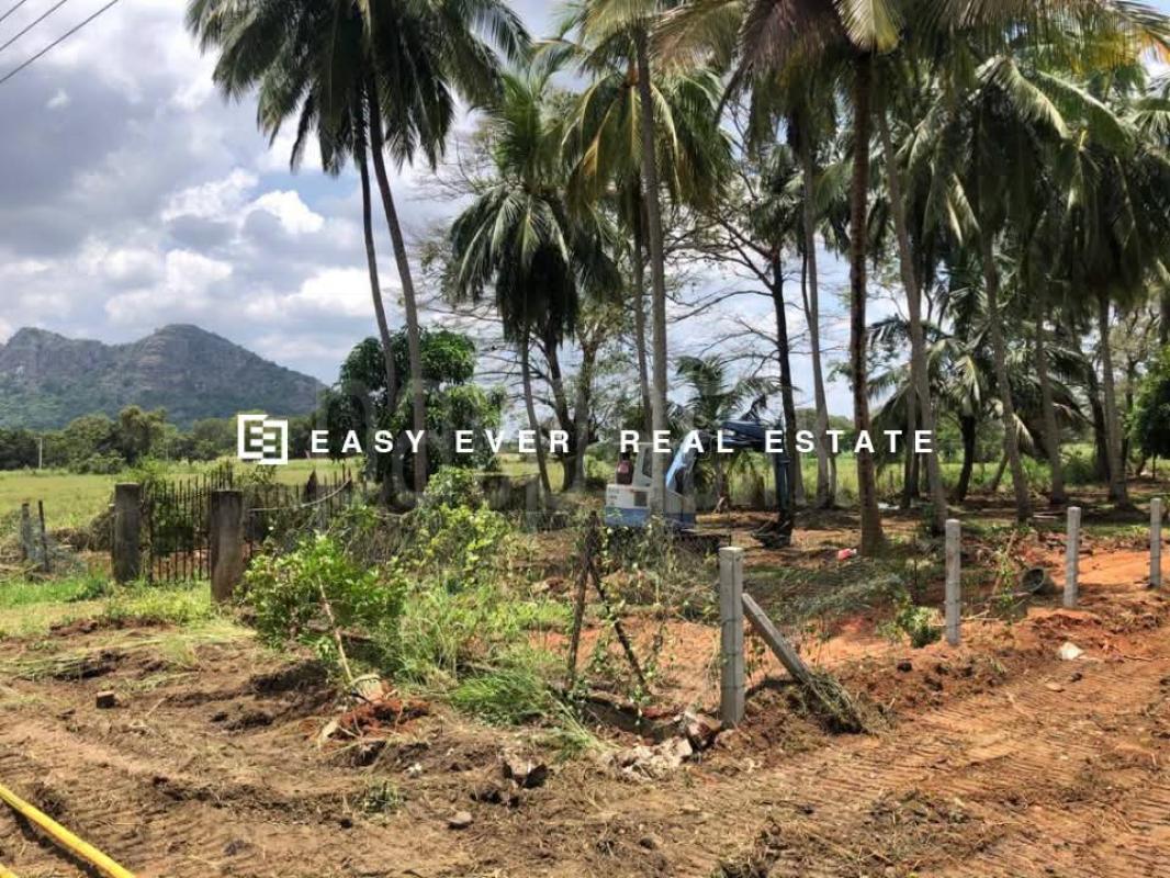 Commercial Land for Sale in Polpitigama