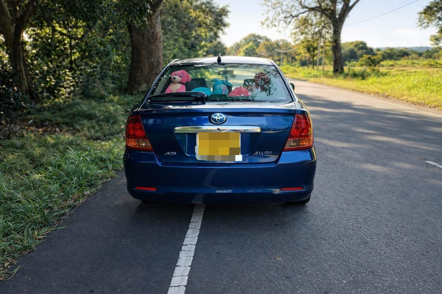 Advertisement image 4