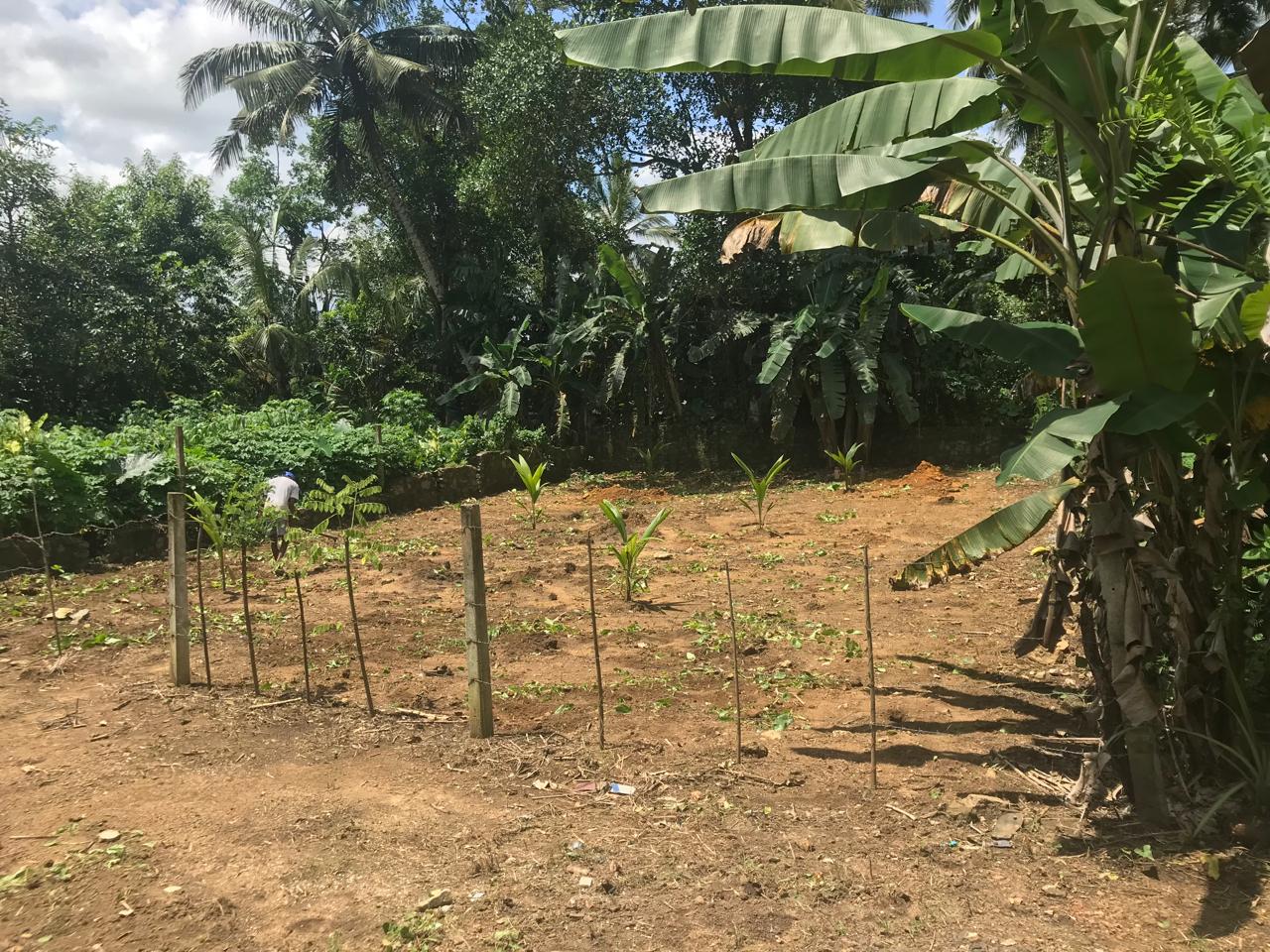 Residential Land for Sale in Padukka