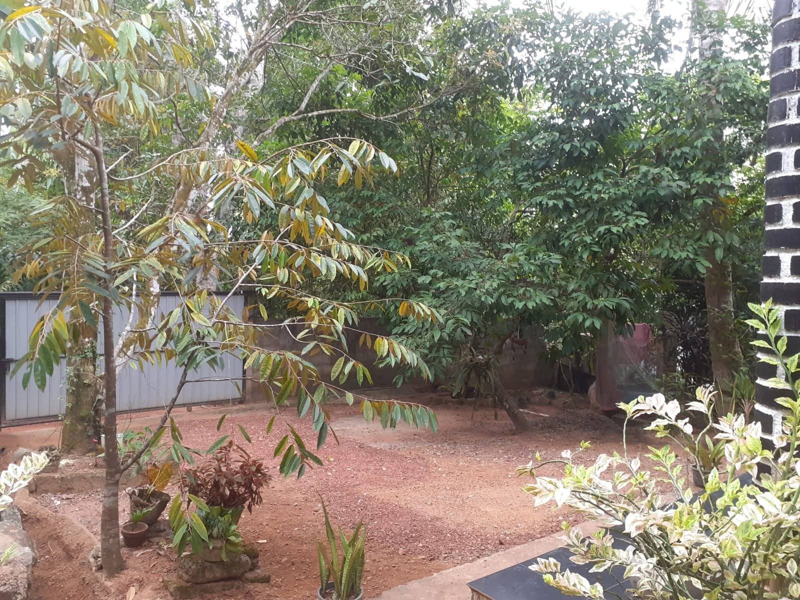 House for Sale in Ganemulla