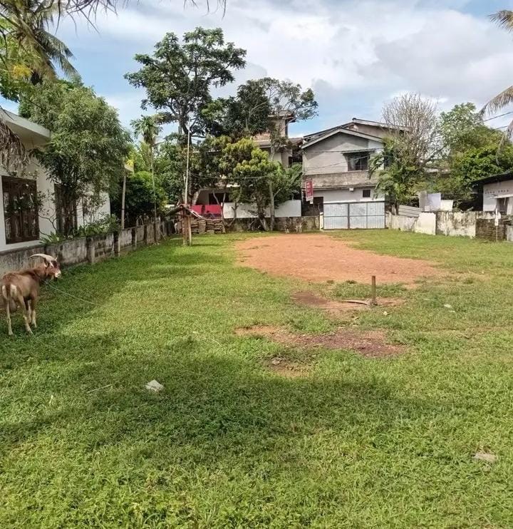 Residential Land for Sale in Attidiya