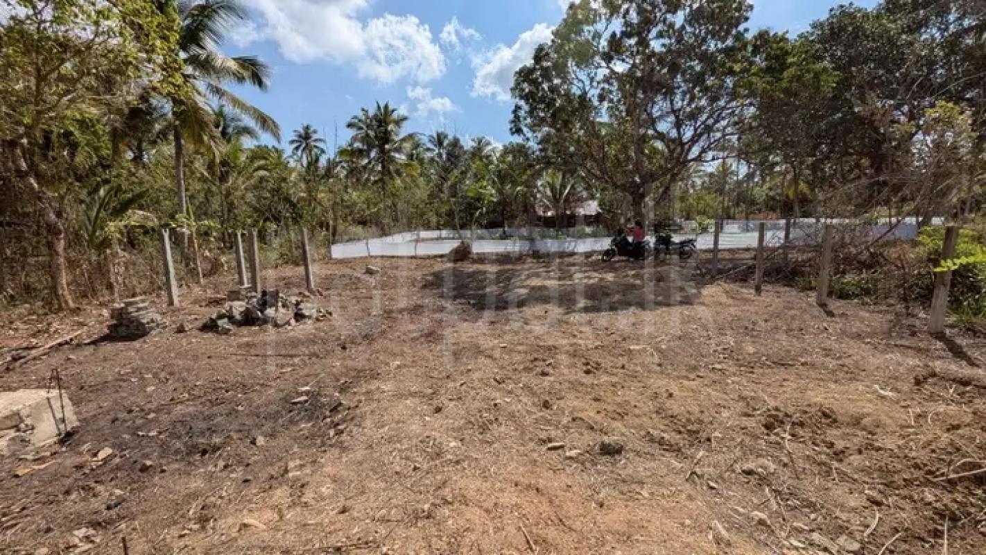 Commercial Land for Sale in Minuwangoda