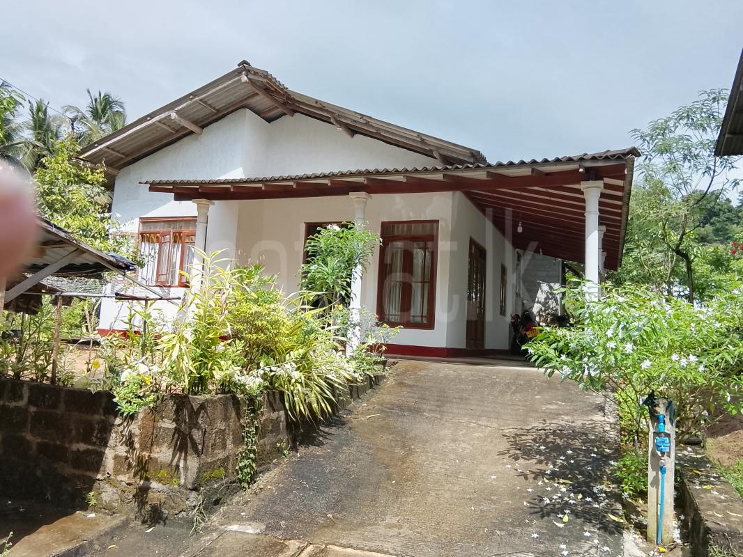 premium-listing-image