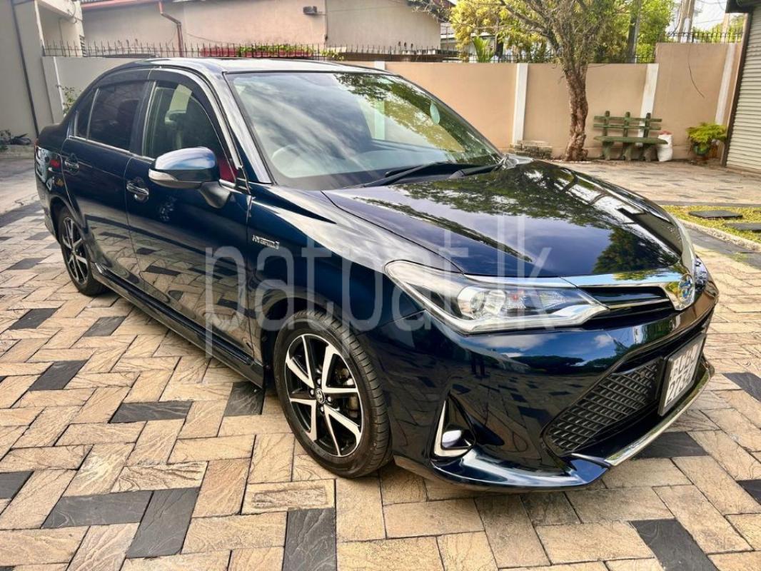 Advertisement image 6