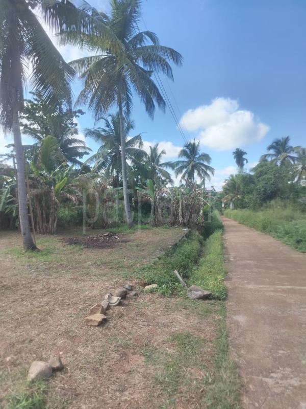 Residential Land for Sale in Veyangoda ads-image-1