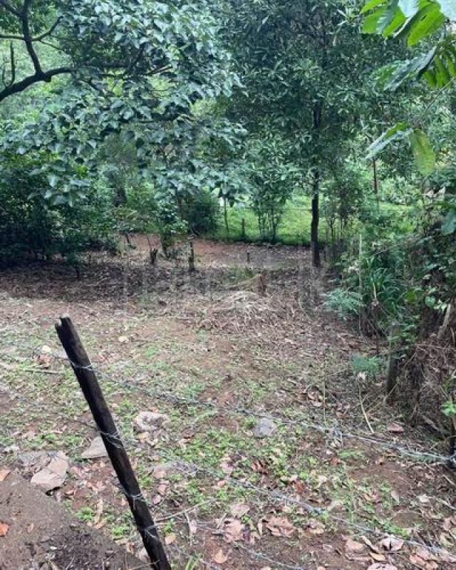 Residential Land for Sale in Kandy ads-image-1