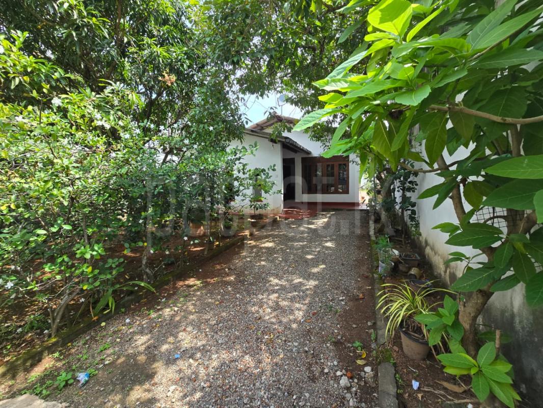 House for Sale in Boralesgamuwa ads-image-1