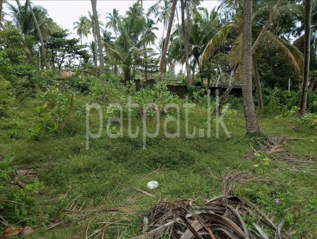 Advertisement image 1