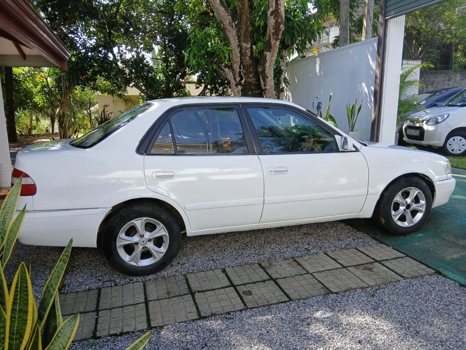 Toyota Corolla 1997 - Used Car sale in Sri Lanka - patpat.lk