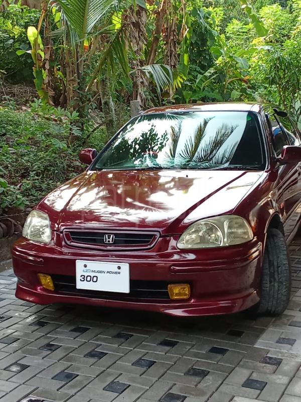 Advertisement image 5