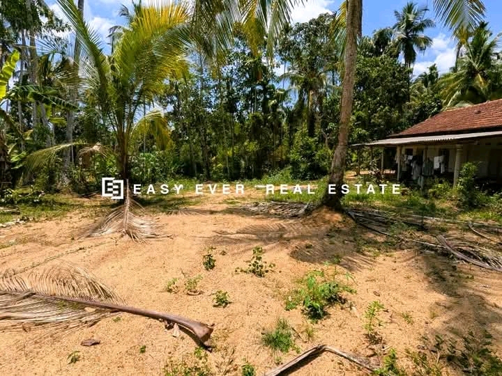 Commercial Land for Sale in Yakkala