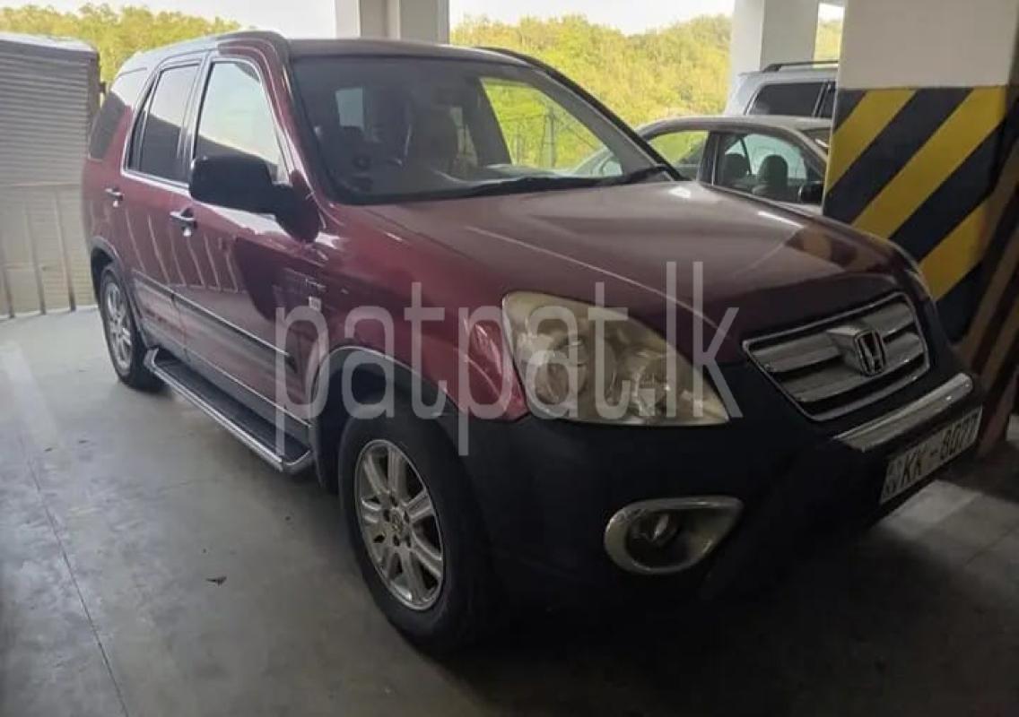 Advertisement image 5