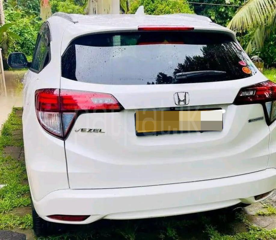 Advertisement image 4