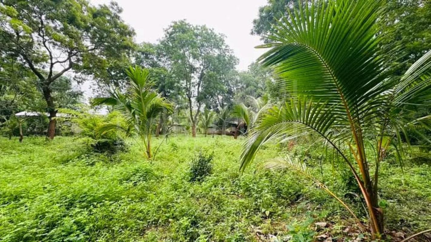 Residential Land for Sale in Kataragama