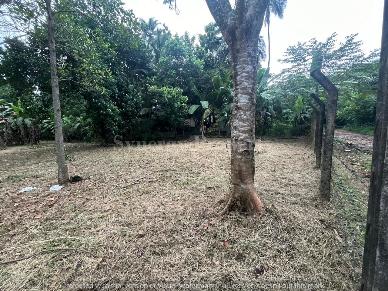 Residential Land for Sale in Kiribathgoda ads-image-1