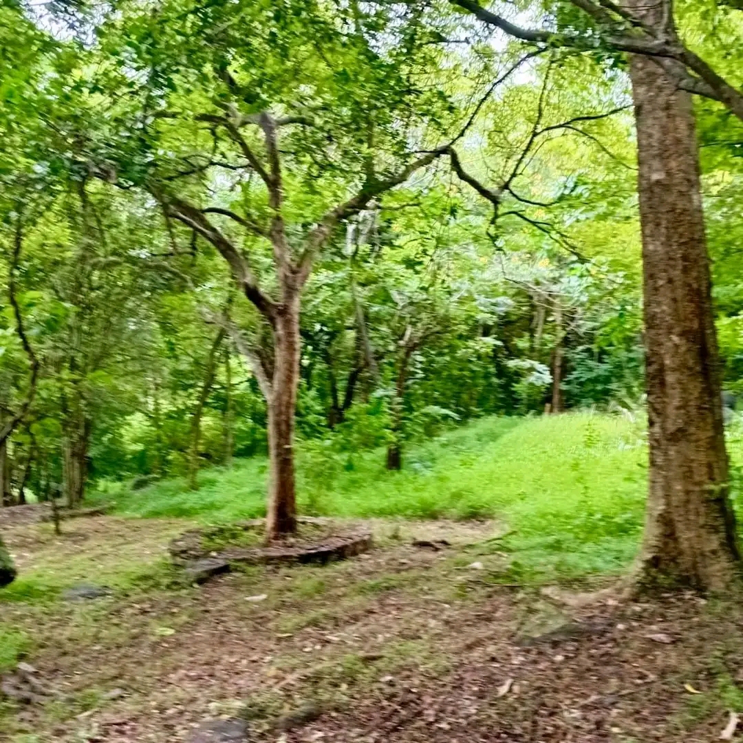 Agricultural Land for Sale in Mawathagama ads-image-1