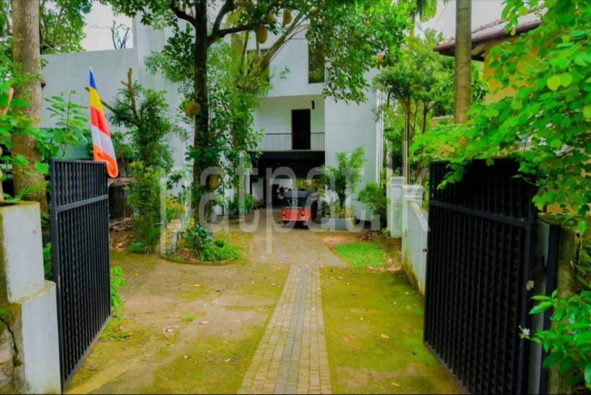 Advertisement image 6