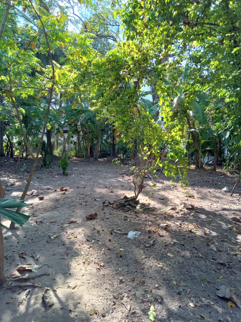Commercial Land for Sale in Alutgama