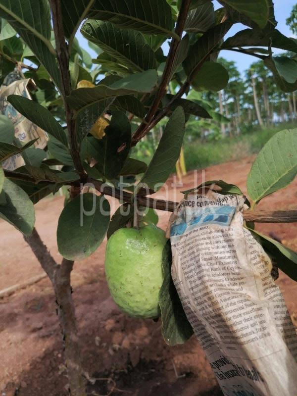 Advertisement image 6